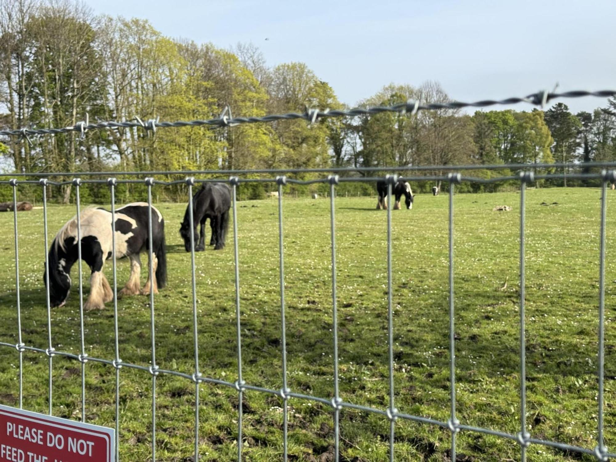 Pony Gate Caravan On Haggerstone Castle West Lawn Berwick Upon Tweed Extérieur photo