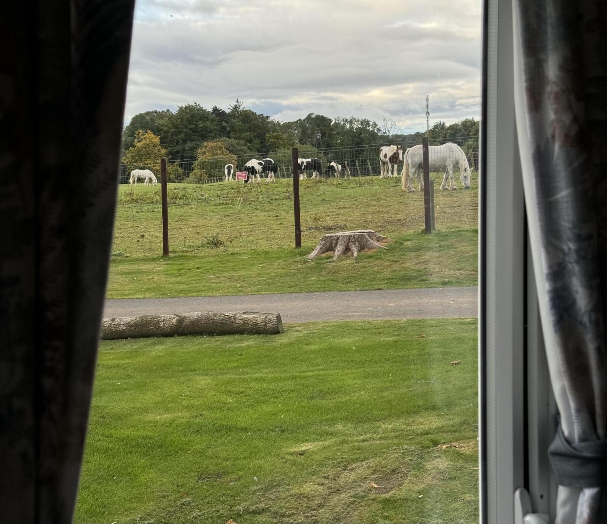 Pony Gate Caravan On Haggerstone Castle West Lawn Berwick Upon Tweed Extérieur photo